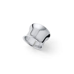 Anello Argento Test