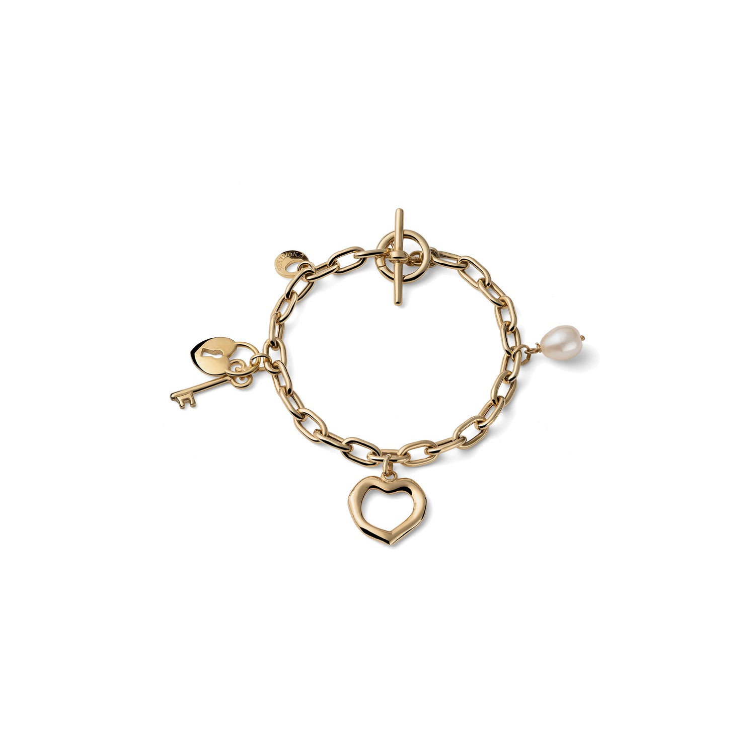 Bracciale in Argento Dorato con Catena Forzatina Unoaerre