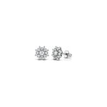 Orecchini con Diamanti Naturali in Oro Bianco 18kt