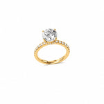 T01069-G
